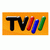 Televisao de Mocambique